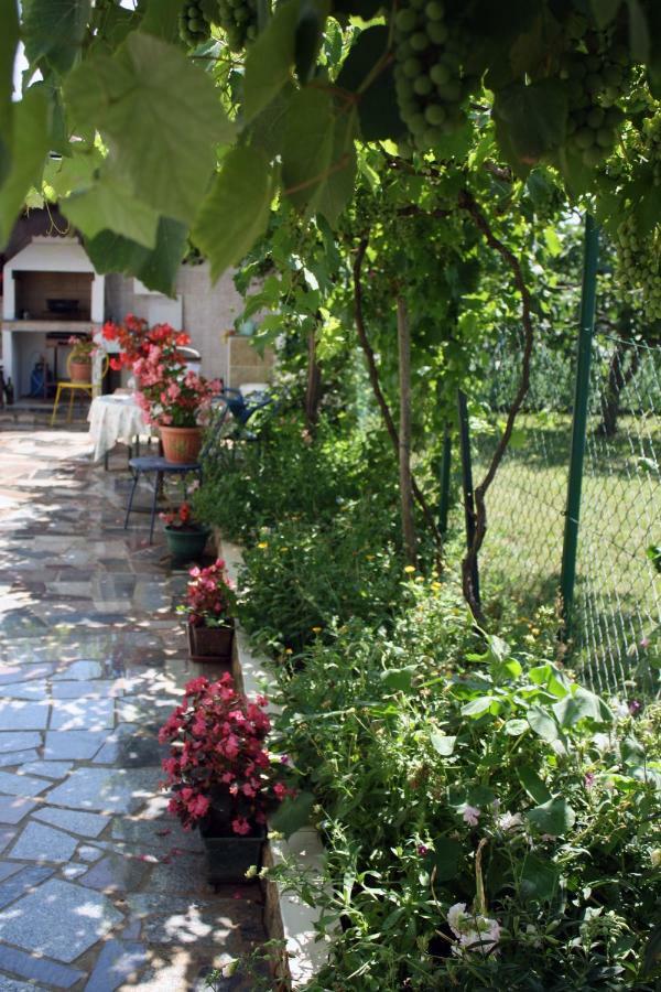 Apartment Vera Umag Luaran gambar